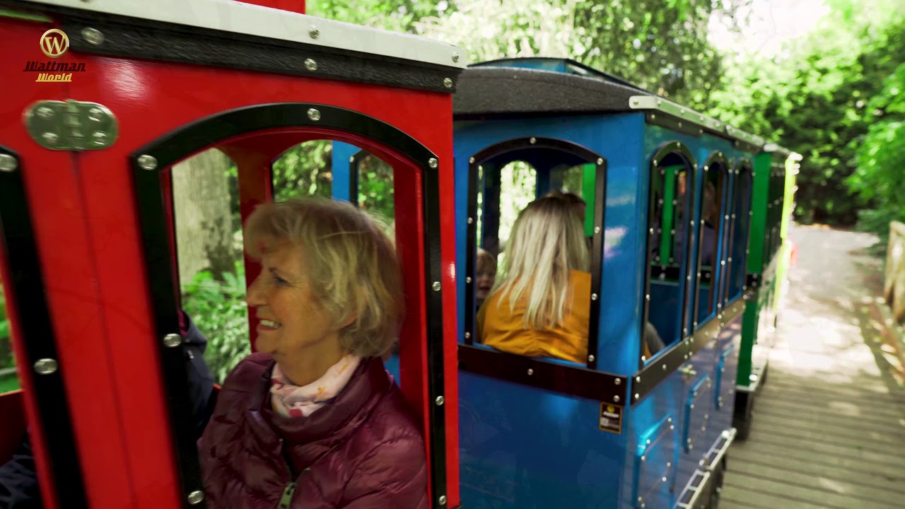 🚂 Maxi Express: The Ultimate Trackless Train Experience! 🌟
