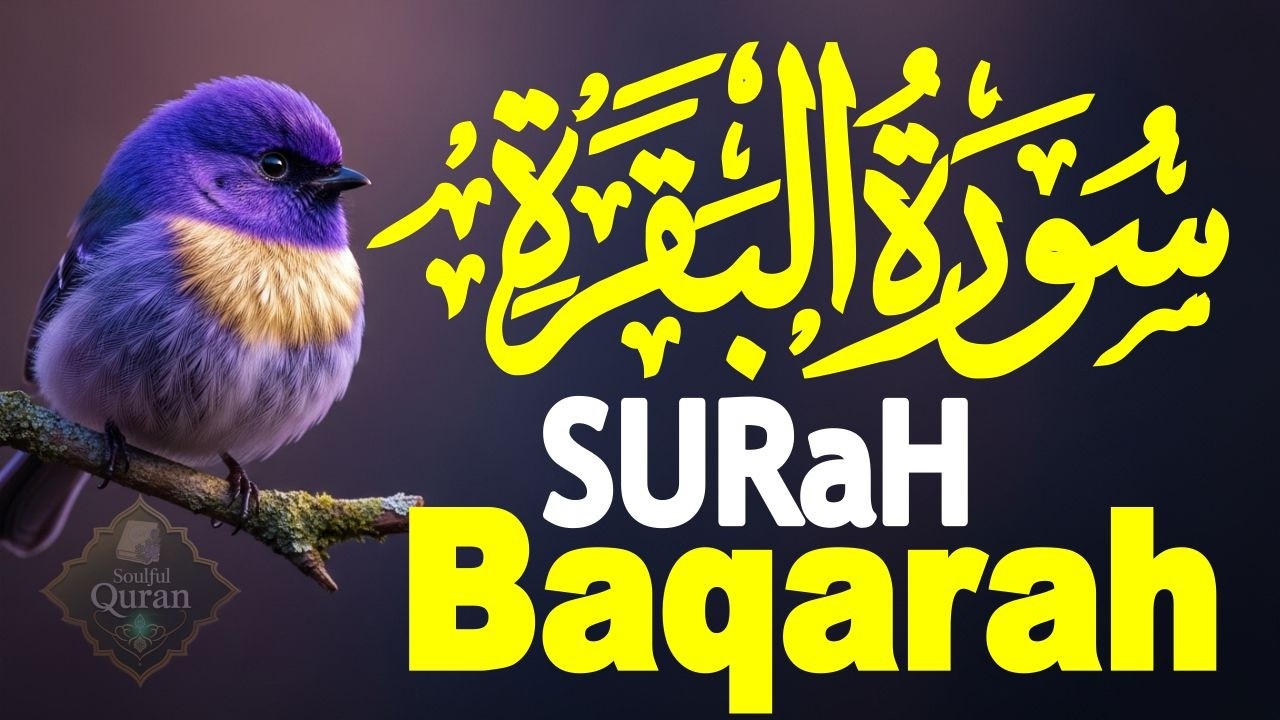 Surah Al Baqarah Full (سورة البقره) HEART TOUCHING RECITATION | EP 01