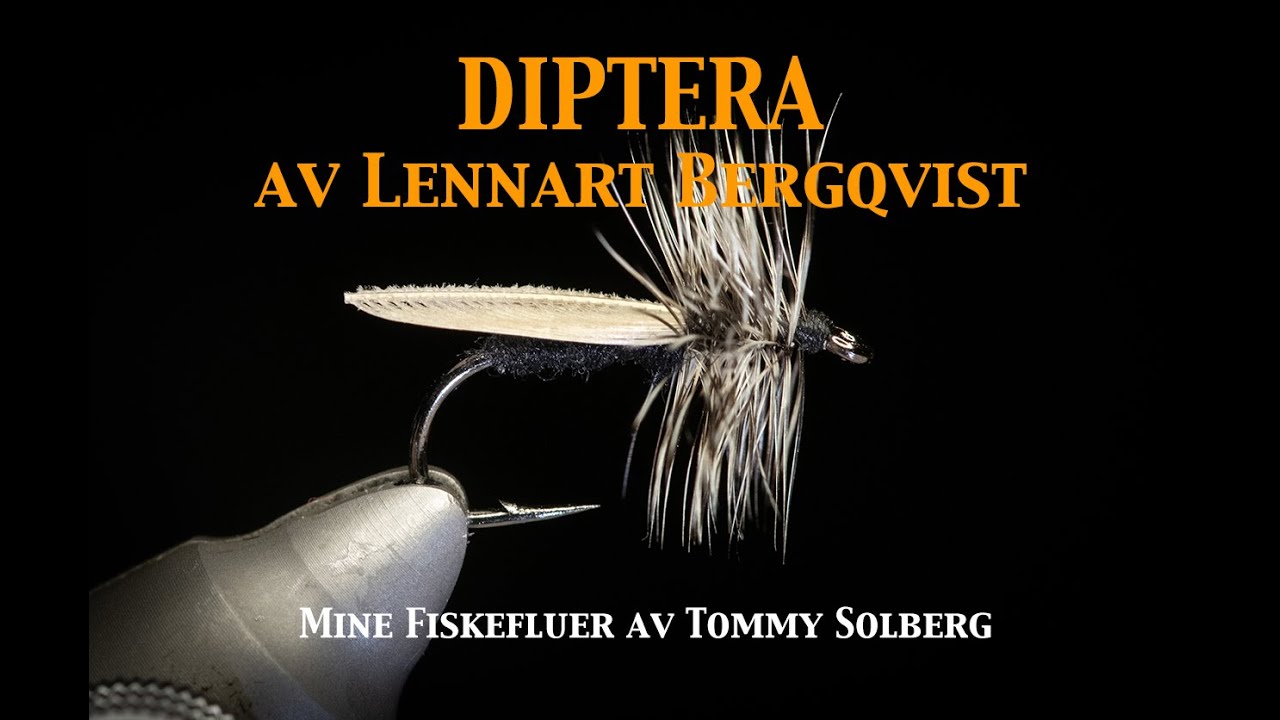Diptera Lennart Bergqvist, mygg, t&oslash;rrfluefiske, imitasjoner og Mine Fiskefluer