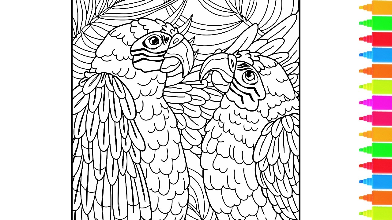 Coloring Parrots in Love, New Mirror for a Peacock, Hummingbird Heaven | Birds Coloring Pages