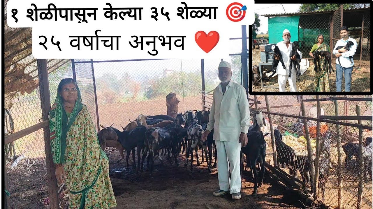 १ शेळी पासून 45 शेळ्या 😱|| शेळीपालन यशोगाथा || goat farming success story ||
