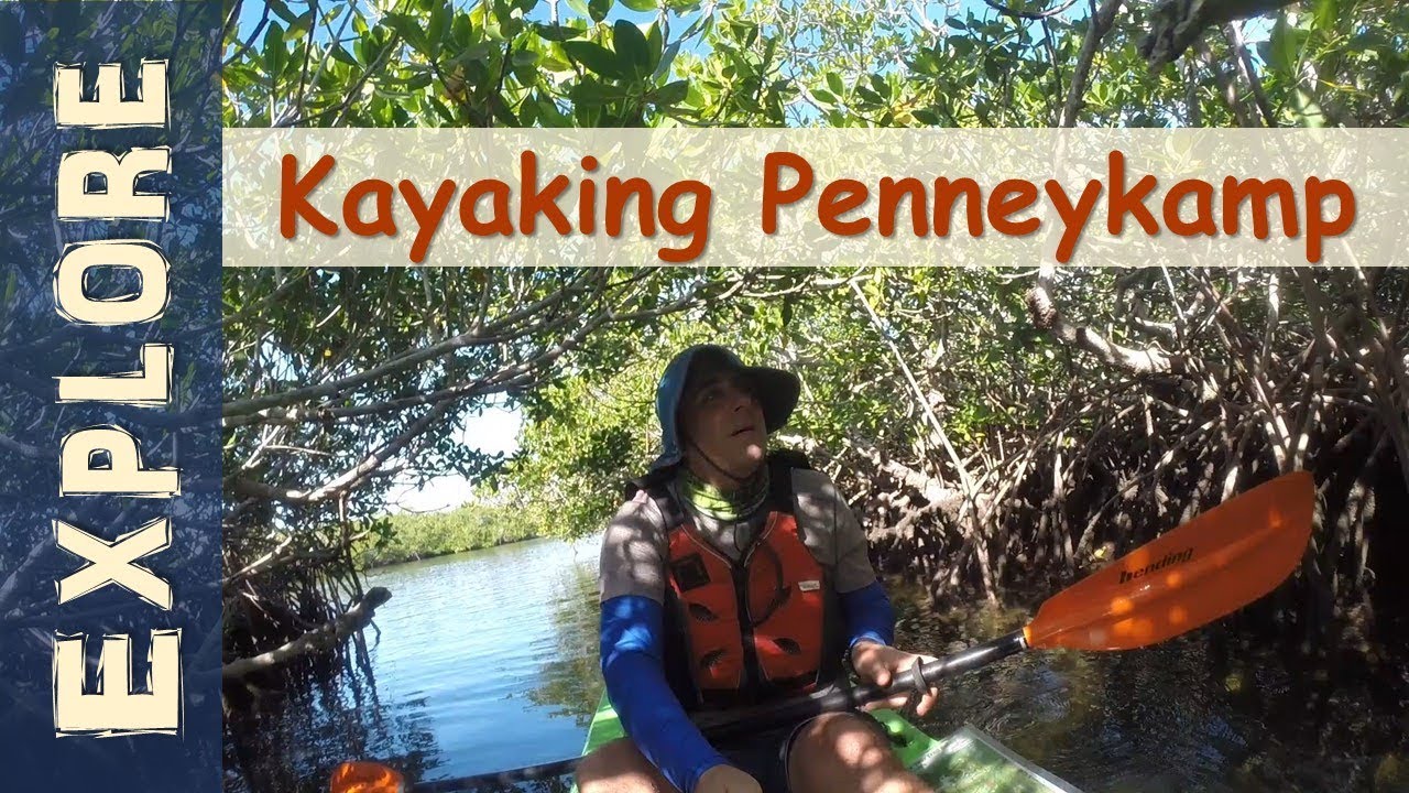 Kayaking John Penneykamp Coral Reef State Park
