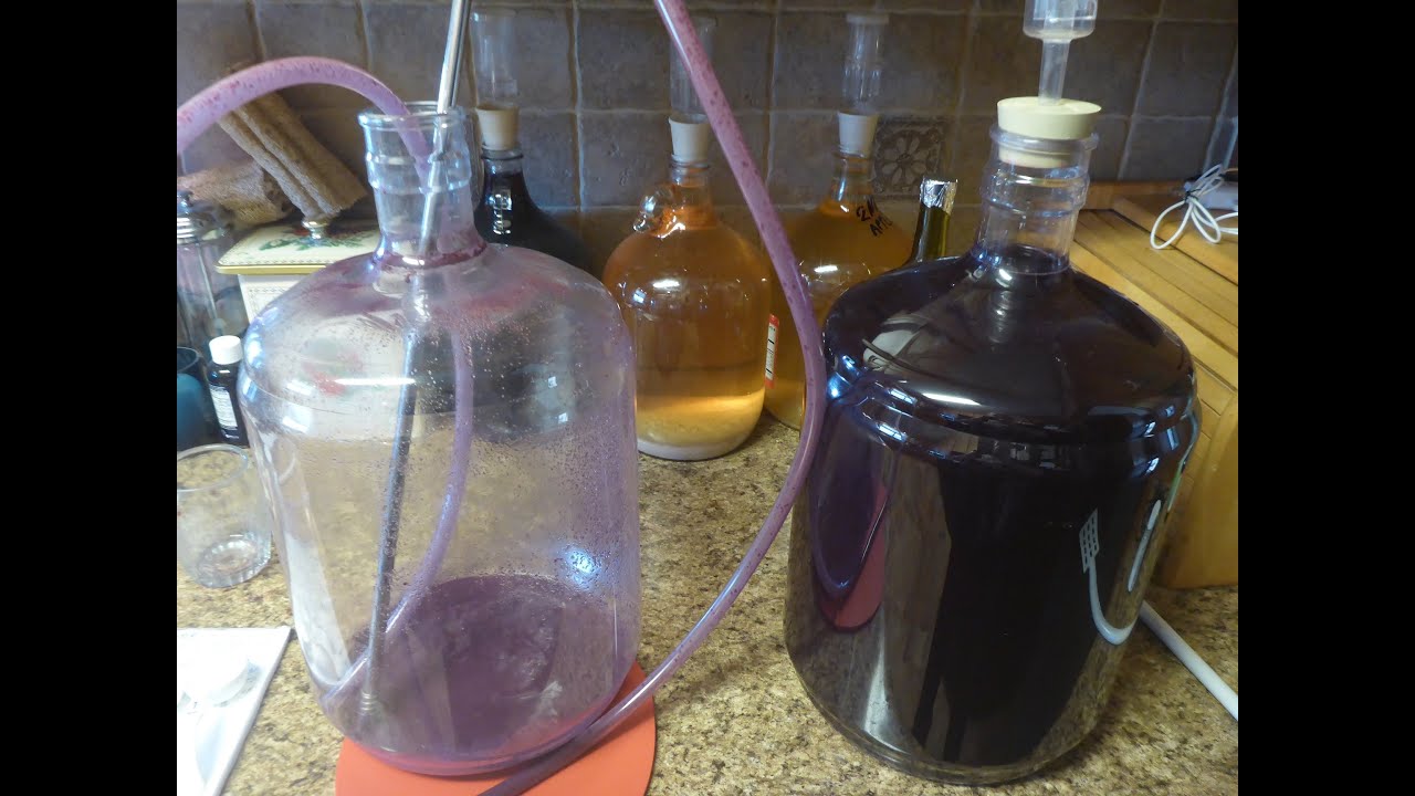 Making Red Wine