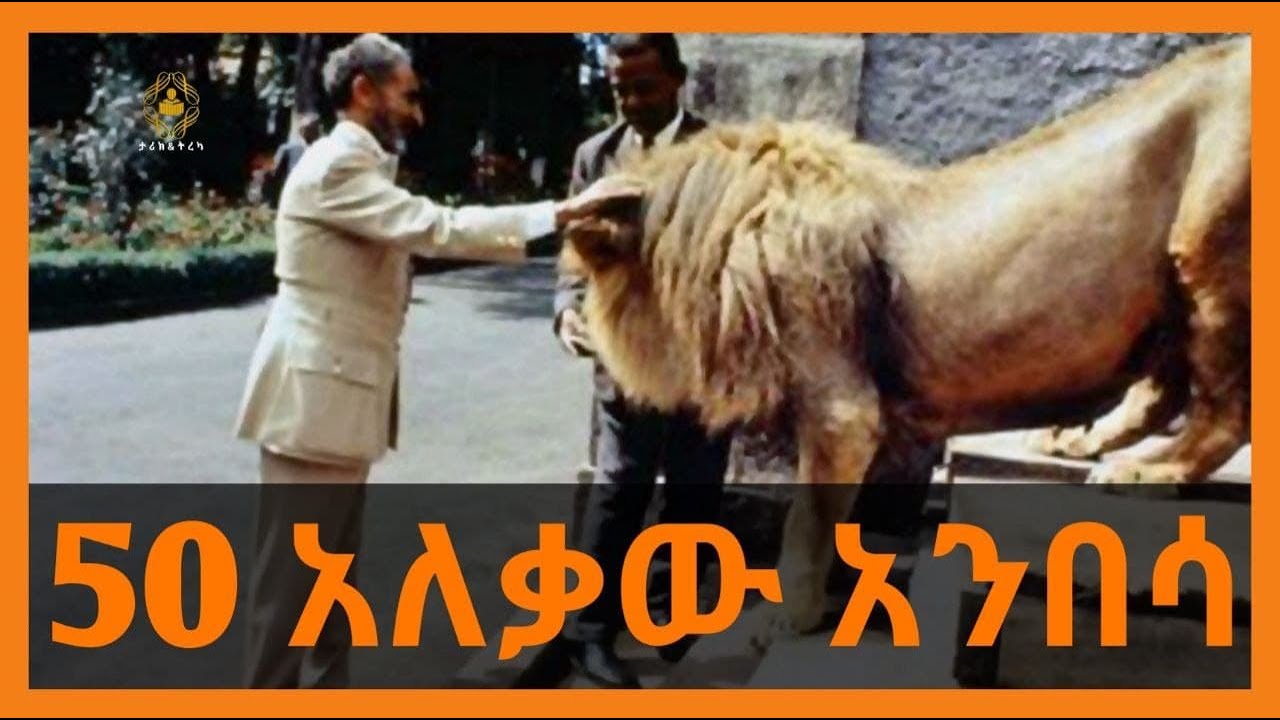 50 አለቃው አንበሳ - “መኩሪያ” ትረካ - በዮሴፍ ዳርዮስ በገነነ መኩሪያ
