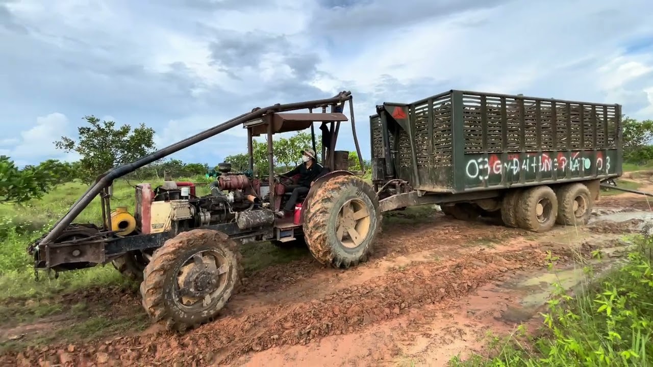 Đại gia Sài TUBO thái Lan mang sức mạnh khác bọt thiệt 