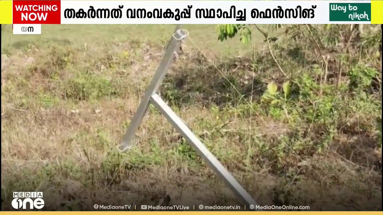 കോടികൾ ചിലവഴിച്ച് സ്ഥാപിച്ച ഹാങ്ങിങ് ഫെൻസിങും കാട്ടാനകൾ തകർത്തു