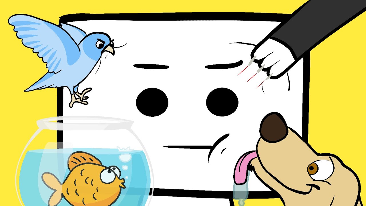 Owning Pets