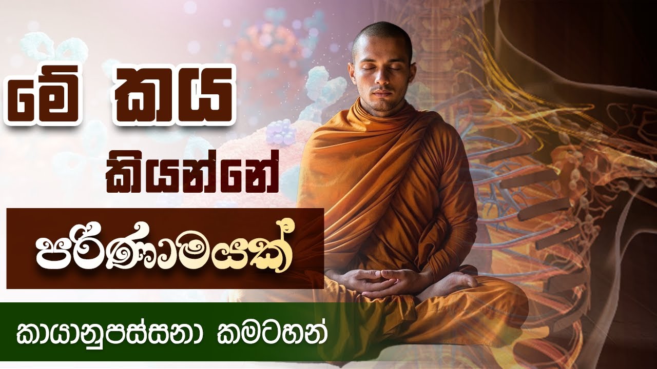 කය කියන්නෙම පරිණාමයක් - කායානුපස්සනාව කමටහන | Niwan Dakimu