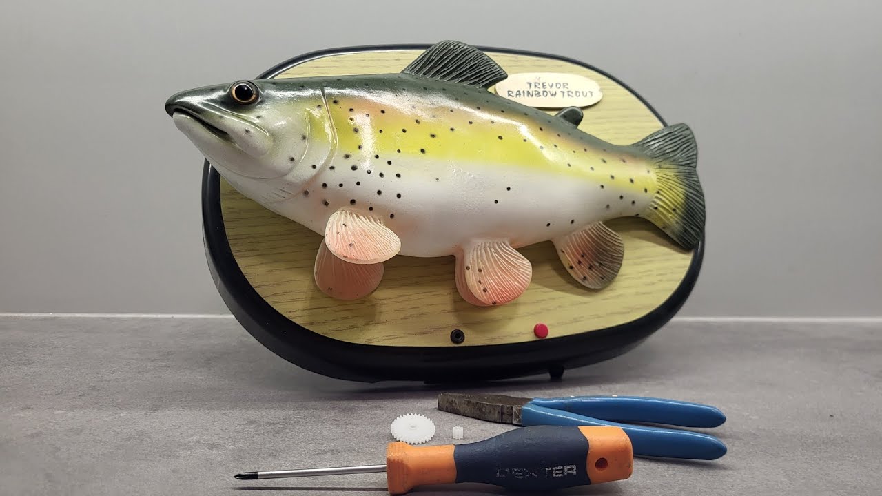 Trevor Rainbow Trout (restoring before and after)