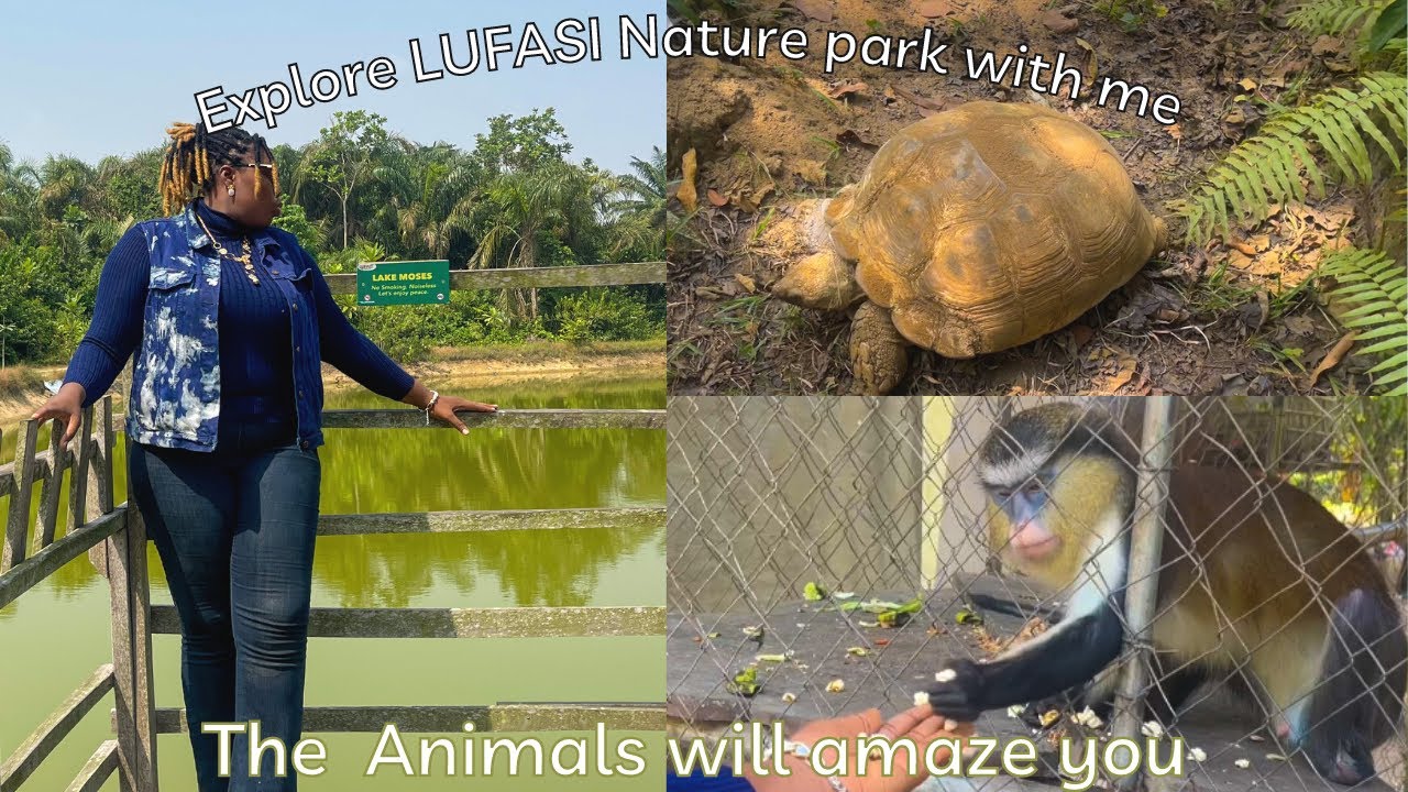 Location review:Hike with me in LUFASI nature park, learn about the animals.