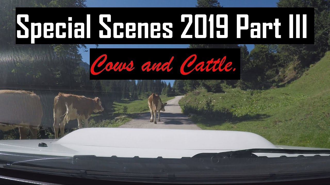 Sti Coupe: Special Scenes 2019 Part III [1440p]