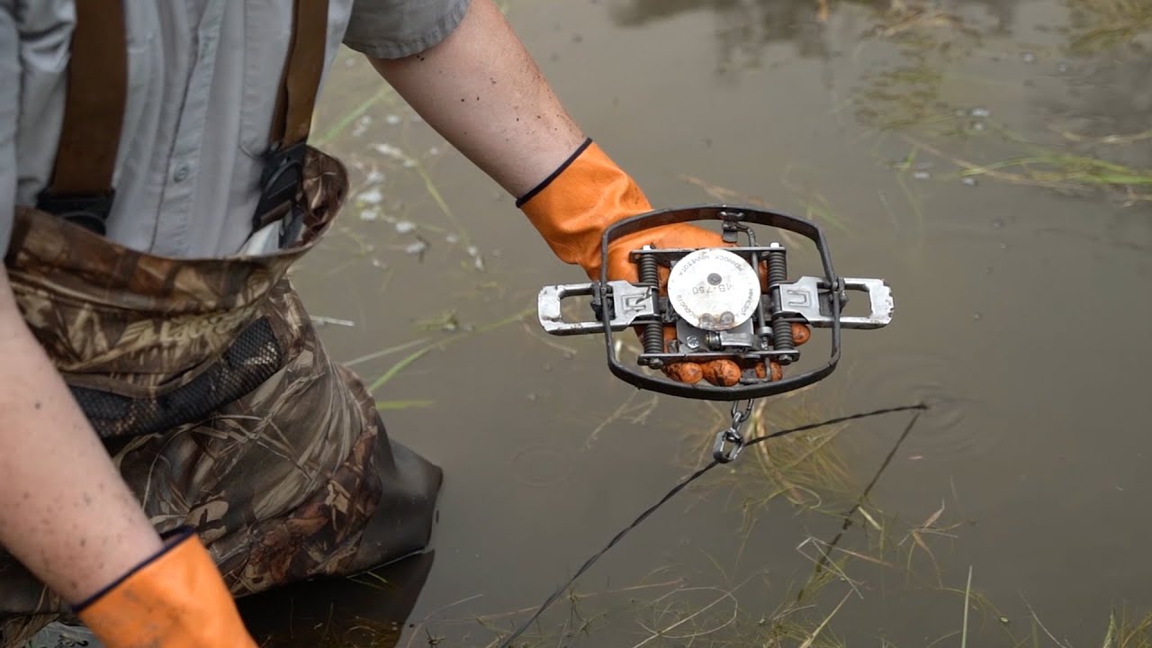 How to Use Foothold Sets For Trapping in Water