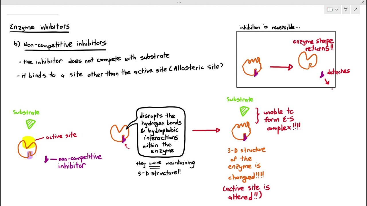 3-8 Non-Competitive Enzyme Inhibitors (Cambridge AS A Level Biology, 9700)