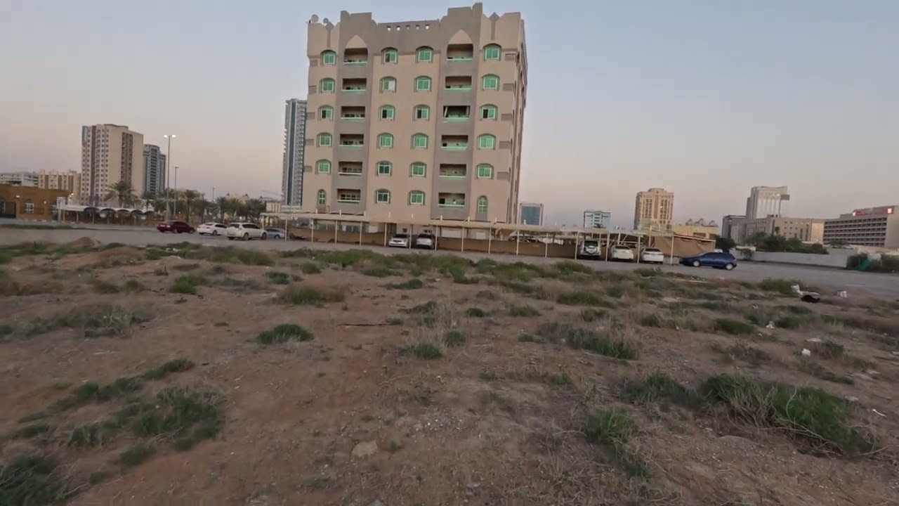 Homeless cat in Ras Al Khaimah, UAE: JANET JACKSON #cat #cats #JanetJackson #UAE #kitten #pets #pet