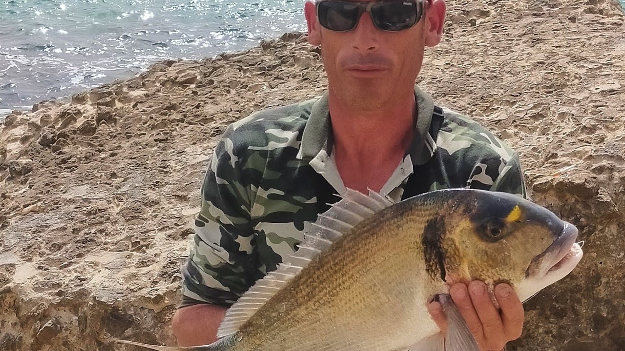 Pesca de Doradas desde espigón de Barbate
