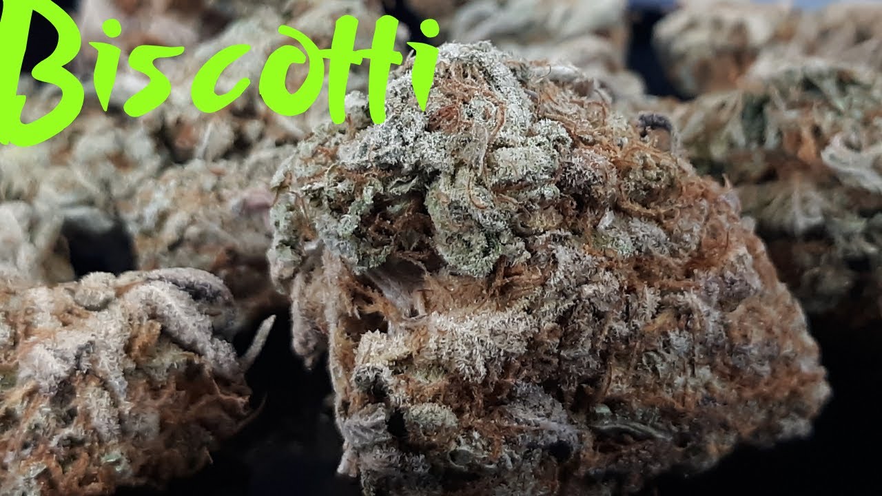 Biscotti Review | Facts and Origin's