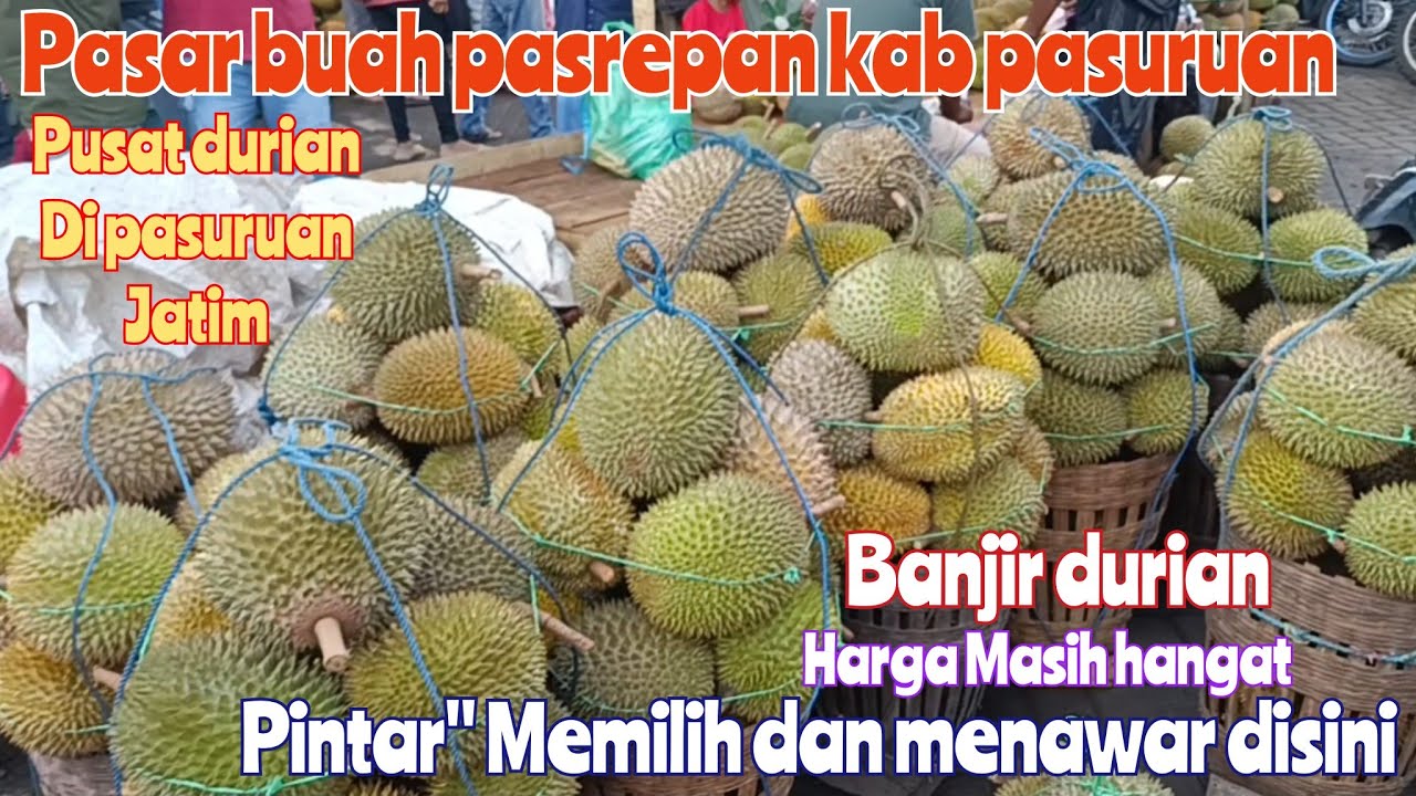 HARI SABTU BANJIR DURIAN NANGKA DAN BUAH LAINNYA DI PASAR BUAH PASREPAN PASURUAN pintar
