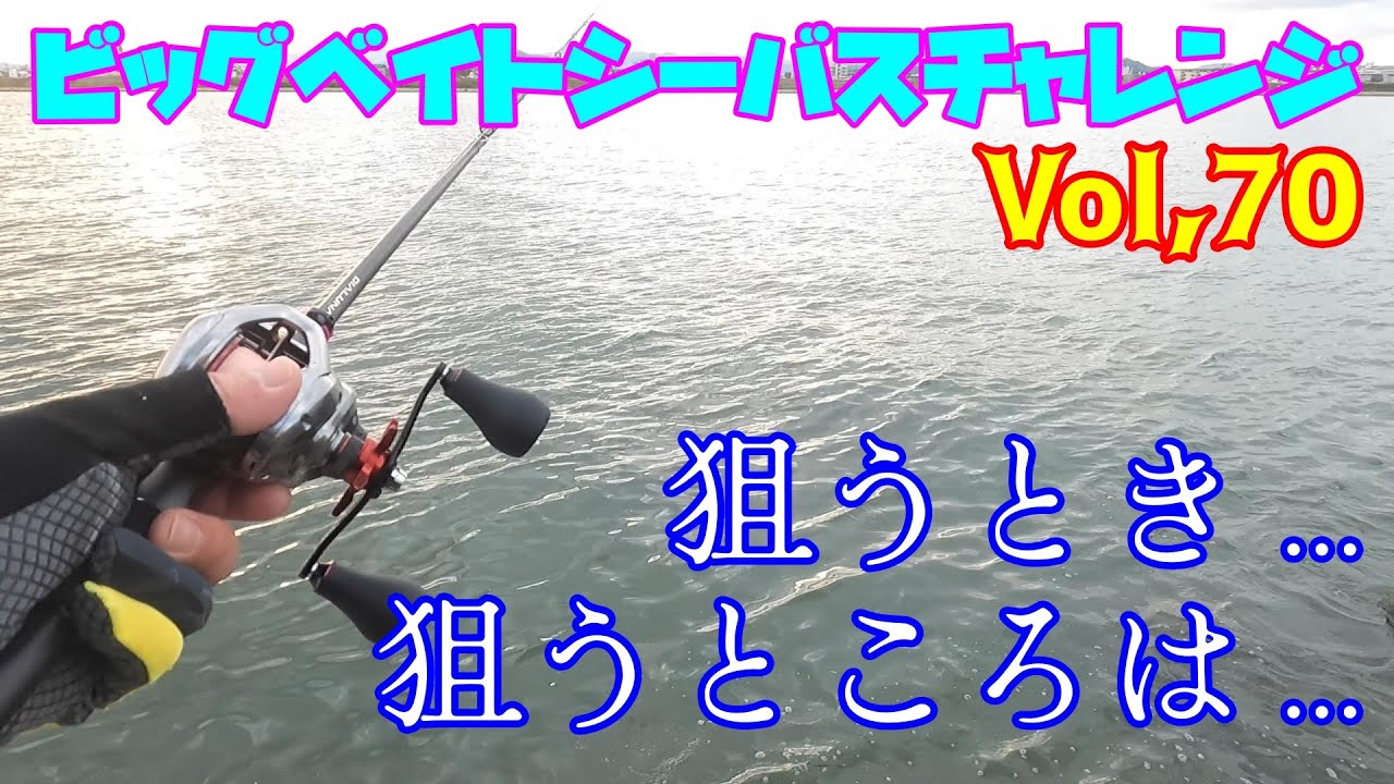 【ビッグベイトシーバスチャレンジ Vol,70】狙っているのはここだ！