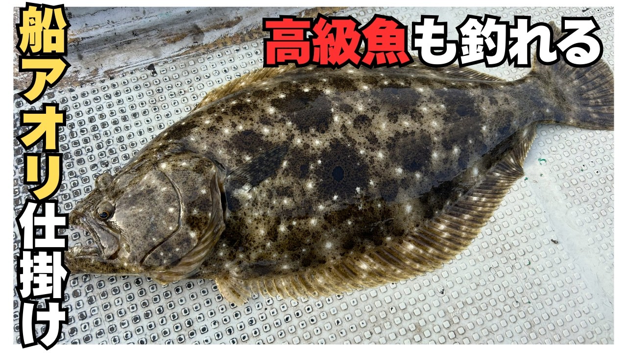 魚も狙える船アオリ仕掛け紹介