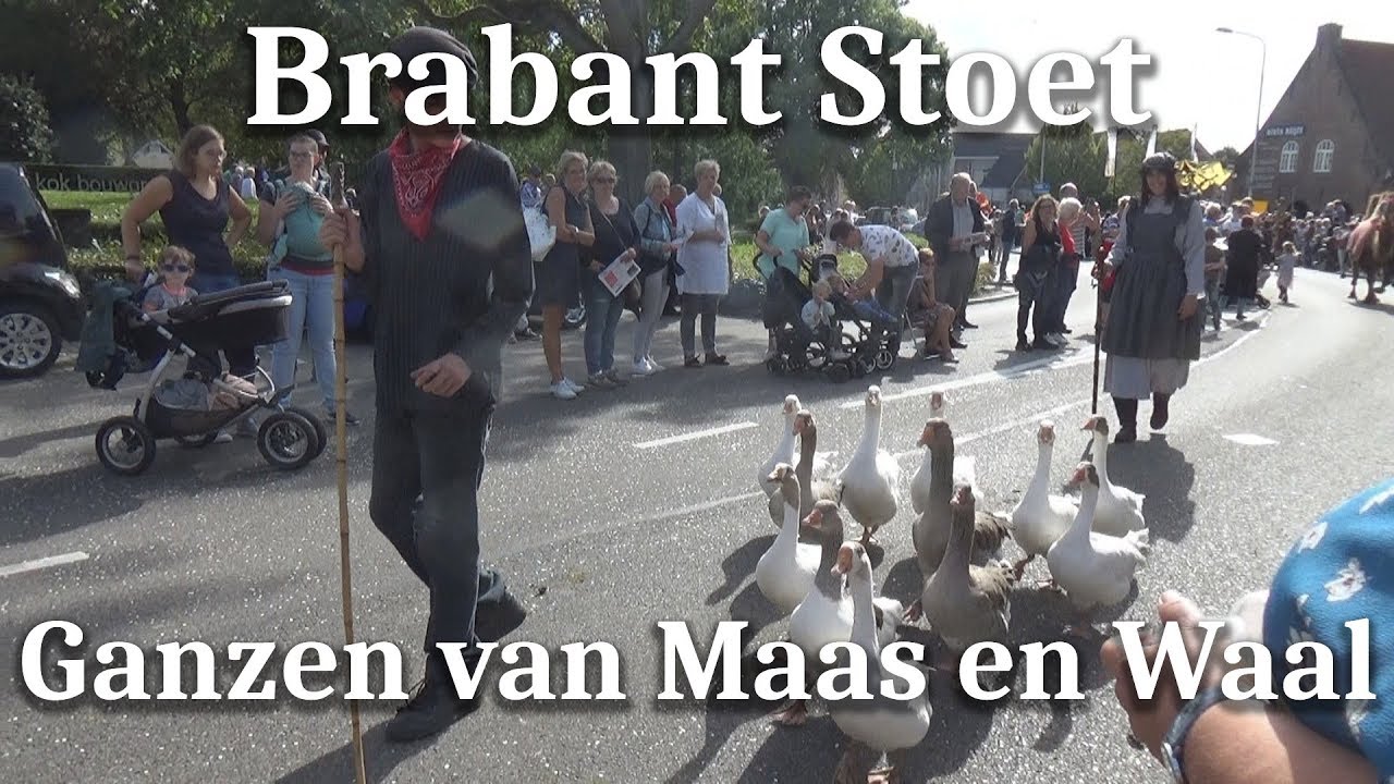 Ganzen van Maas en Waal! - 16-09-2018 - Brabant Stoet