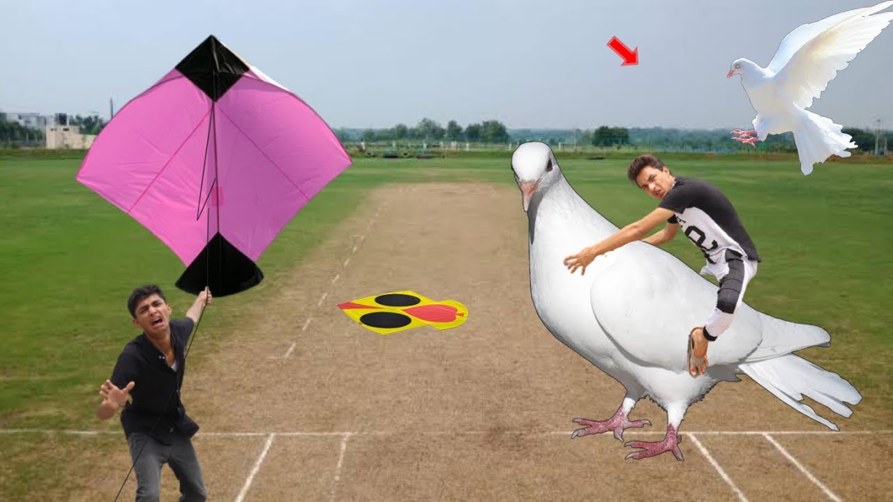 Lucky Kabooter Caught & Kite Fight Air