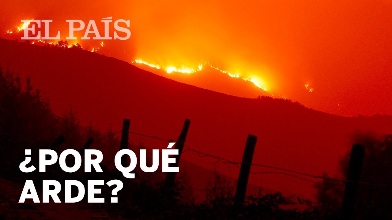 Por qué los grandes incendios como el de Galicia serán “la norma” | Vídeo
