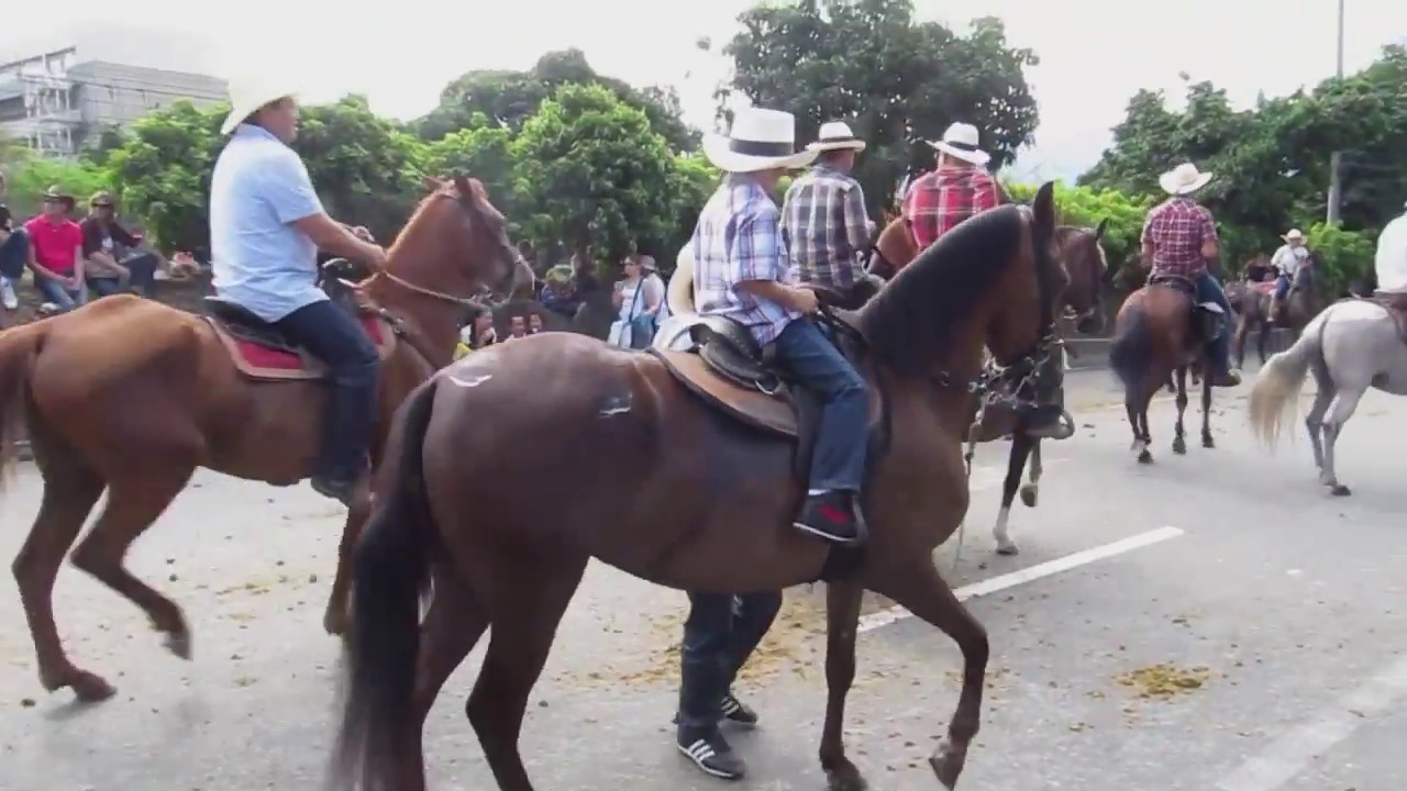 Cabalgata Horse Parade at the Feria de las Flores Flower Festival in Medellin, Colombia