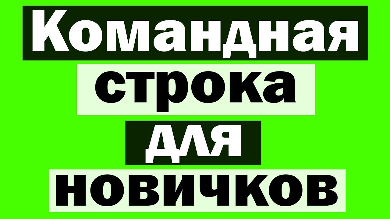 Команды в cmd для новичков