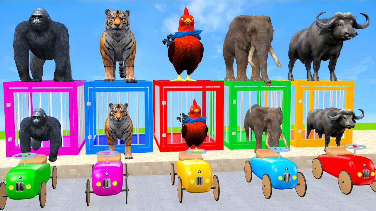 Long Slide Game With Cow Elephant Gorilla Hippopotamus Tiger 3d Animal Game Funny 3d Animals