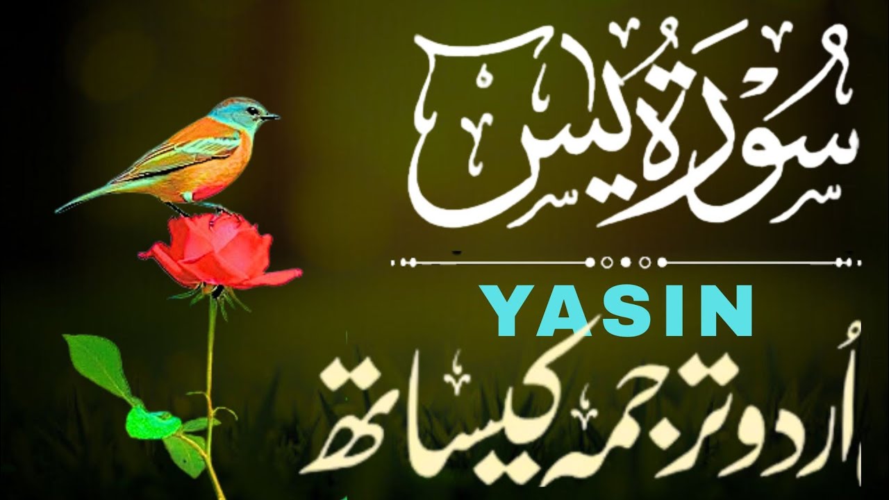 Surah Yaseen with Urdu Translation | Beautiful Quran Recitation | Episode 72 | Zikr e Quran Recite