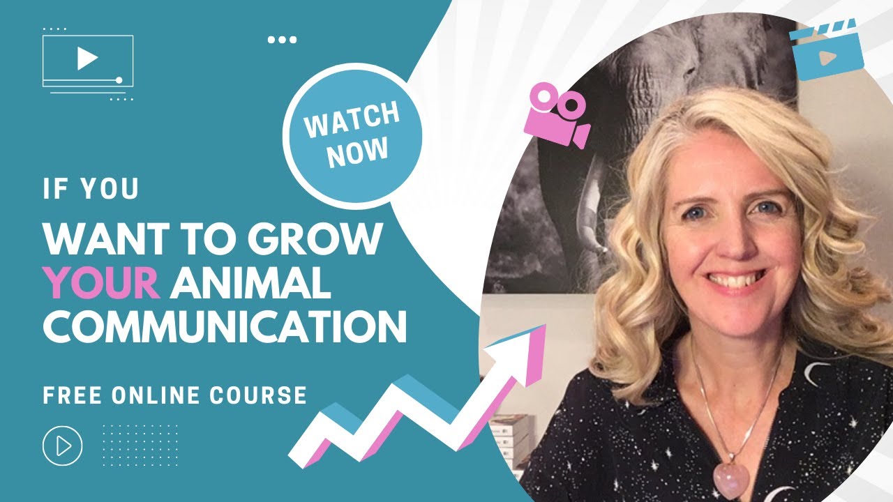 If you want to grow your animal communication, watch this!