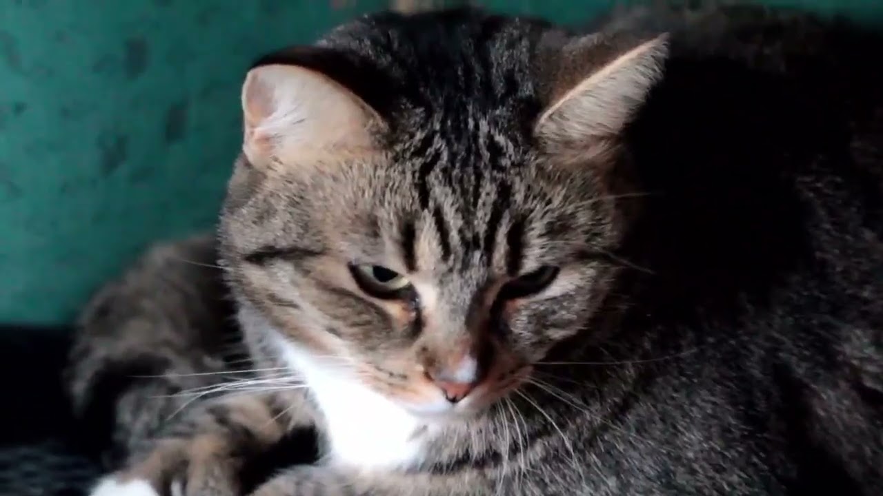 พักผ่อน