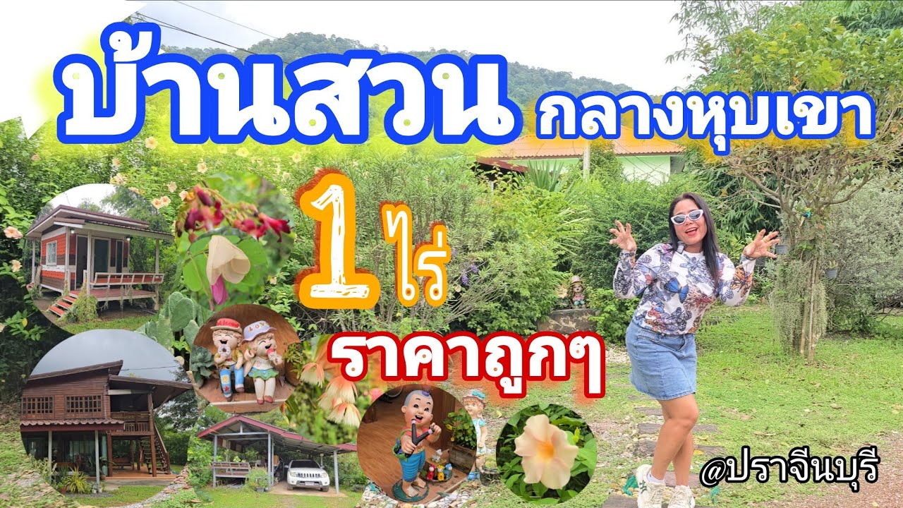 🏕เจ้าของจำเป็น..รีบขายด่วน🚩 #บ้านสวนกลางหุบเขา อากาศดีทั้งปี 1ไร่ [EP.2040]