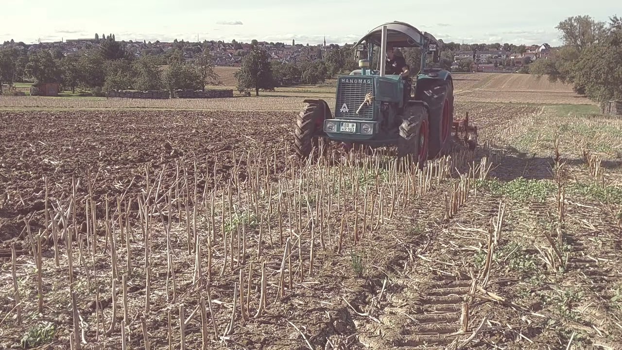 HANOMAG Robust 901 AS mit FRICKE Grubber