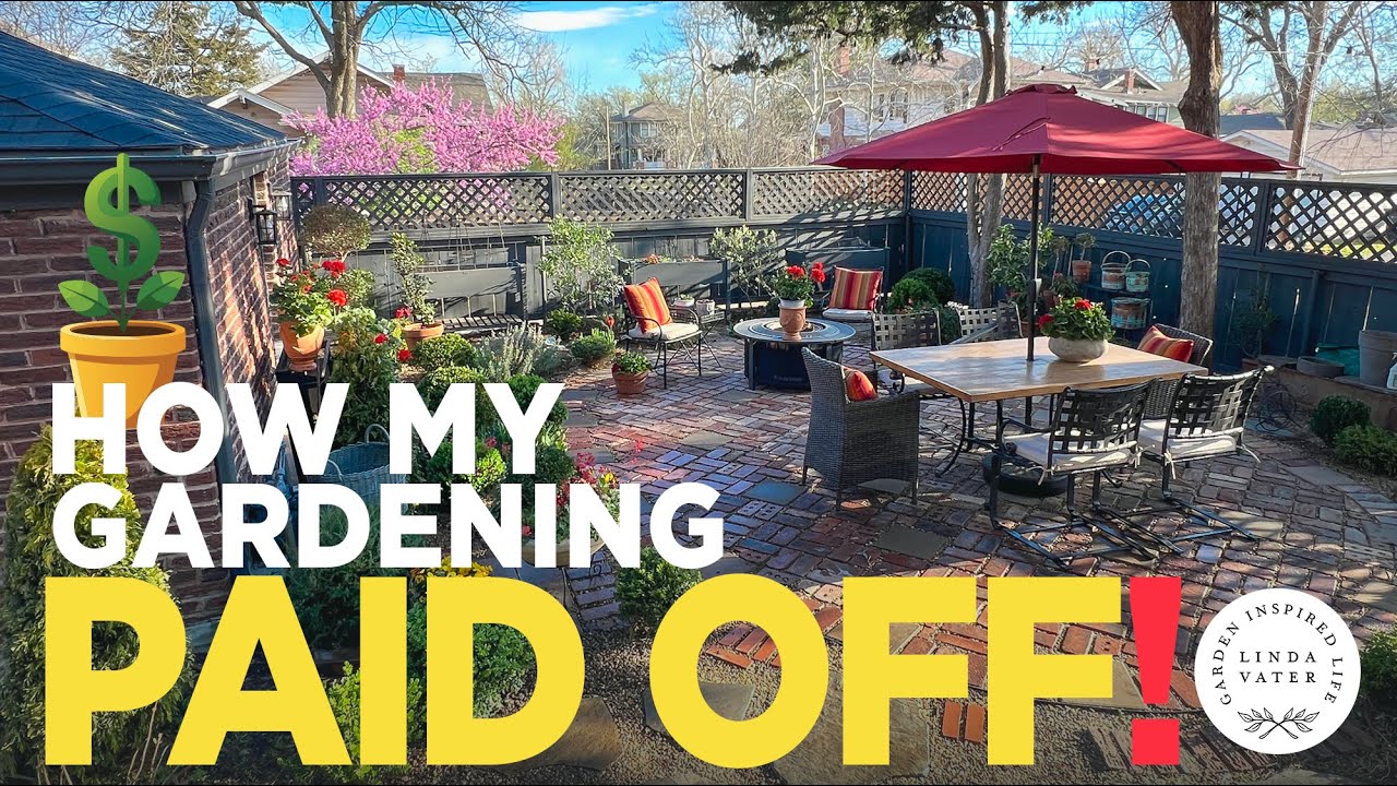 See How My Gardening Yesterday Paid Off