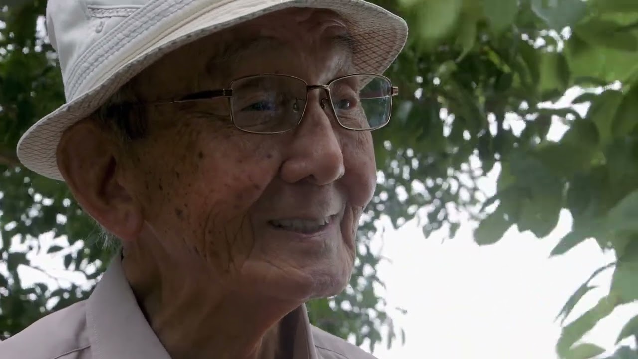 『五香宮の猫』予告編