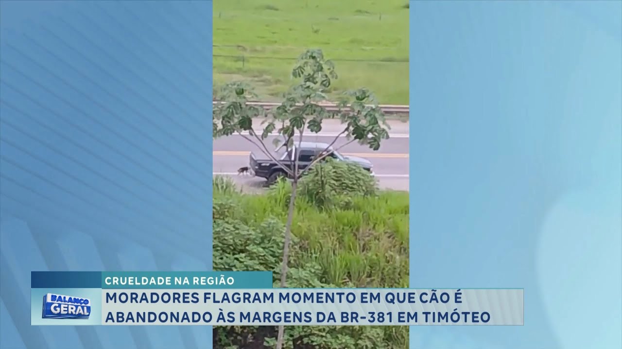 Crueldade na região: moradores flagram cão sendo abandonado às margens da BR-381, em Timóteo.