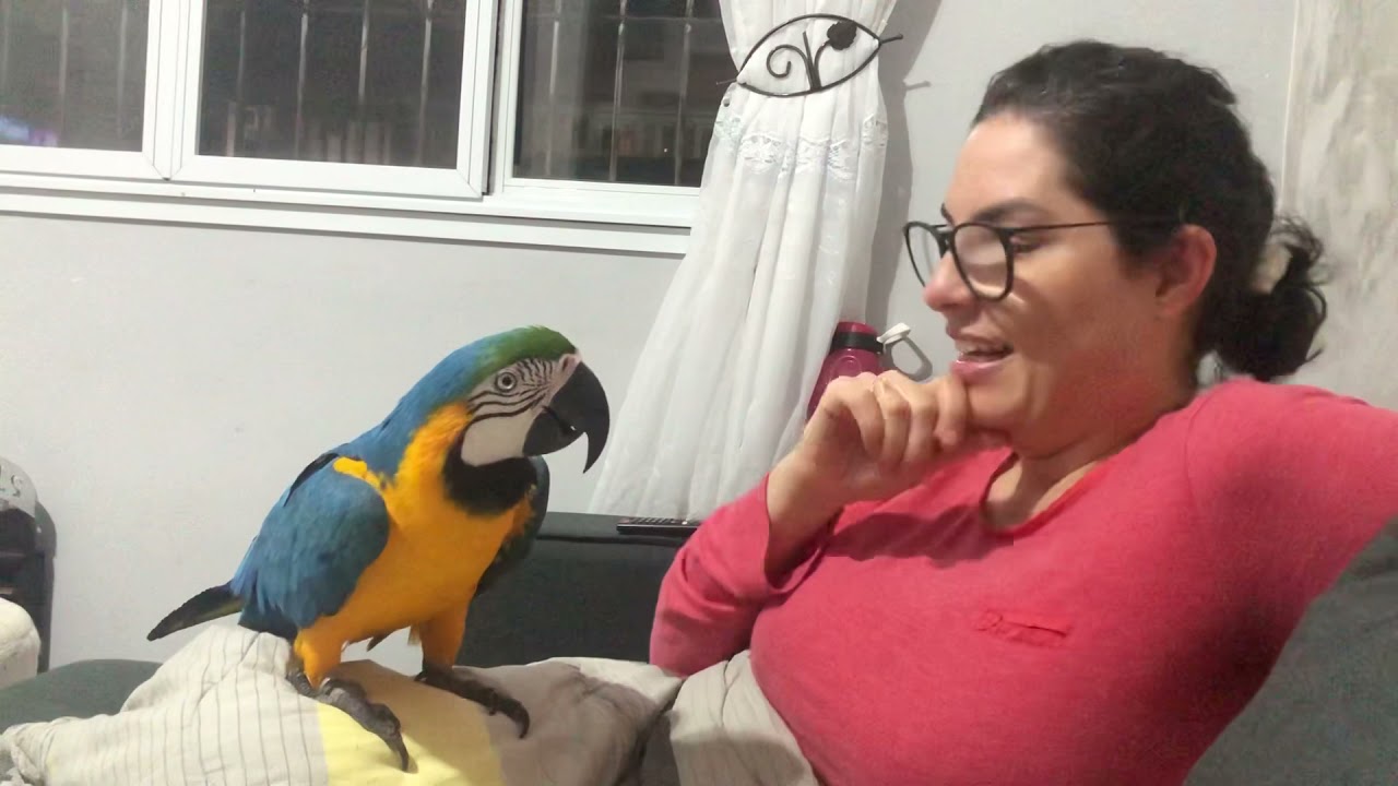 Tentando fazer as pazes com o irmão - #failed