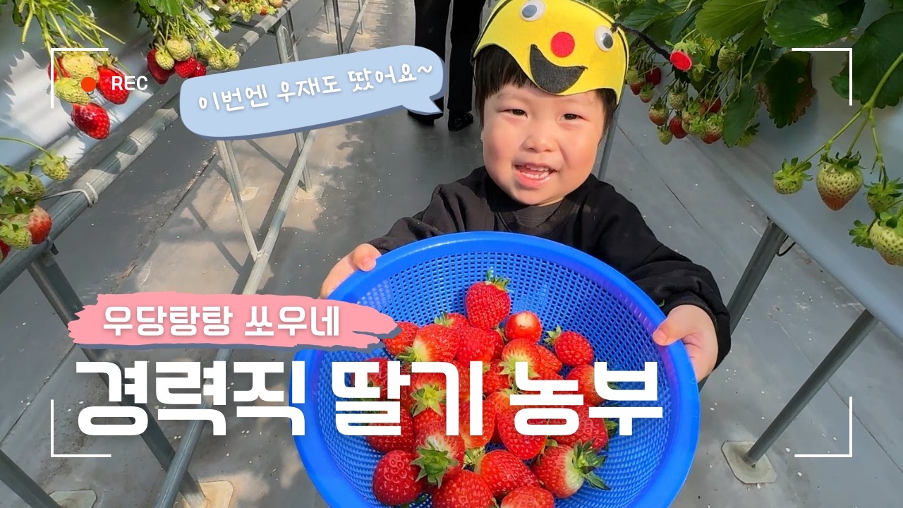 1년 만에 다시 찾은 딸기농장! 이번엔 딸기 피자 만들었는데 소이가 반 판 먹음 | #쏘우네 #브이로그 #오빠딸기