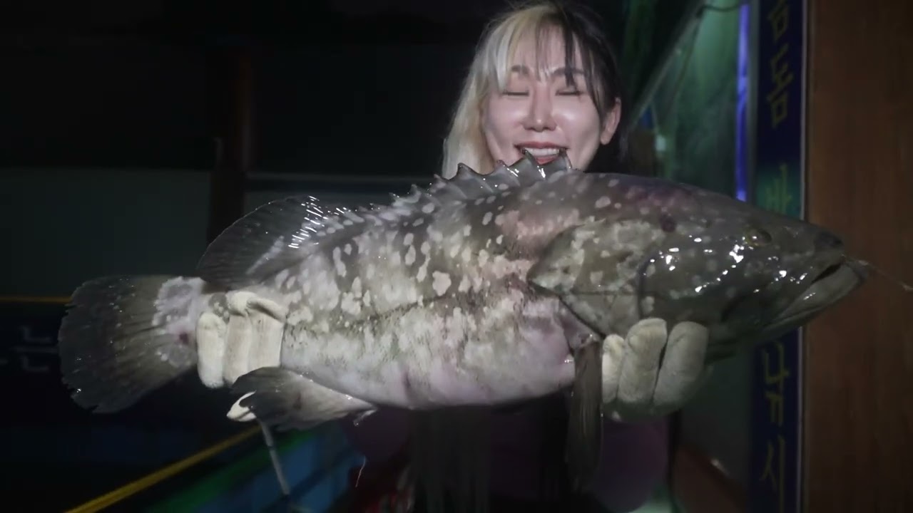 돔돔돔바다낚시터 이용 가이드 / 매점 / 입어료 / 식사 / 회 코너 / 낚시. 자연산 돌돔/ 대왕자바리 /능성어 / 무점매가리 /동갈돗돔
