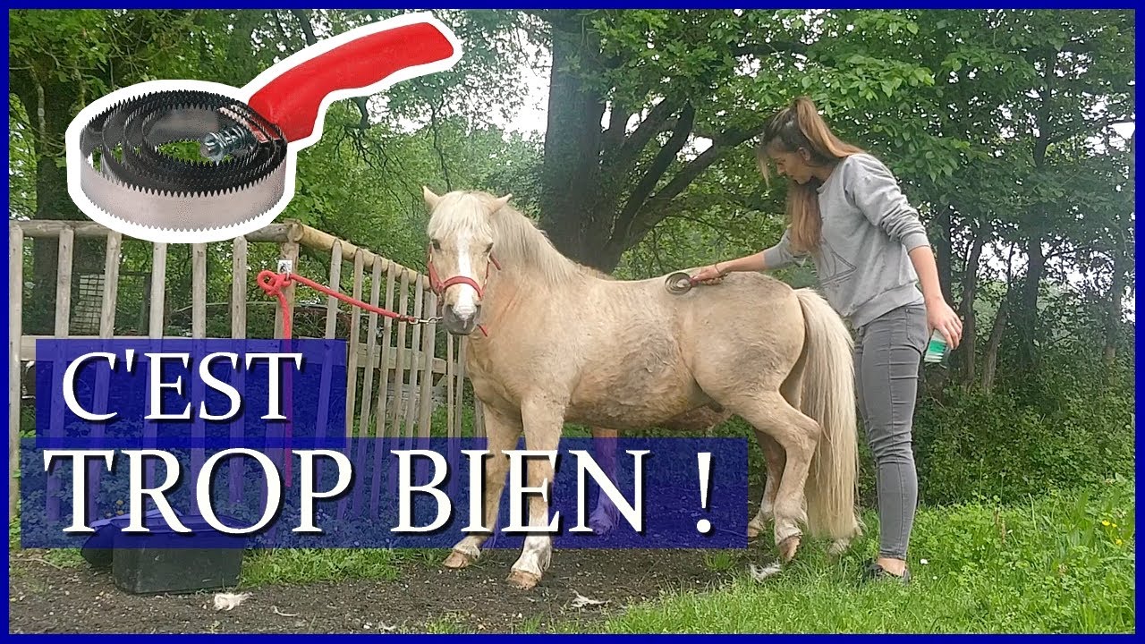 JE FAIS UNE DÉCOUVERTE 20 ANS PLUS TARD !😂 - Mieux vaut tard que jamais...