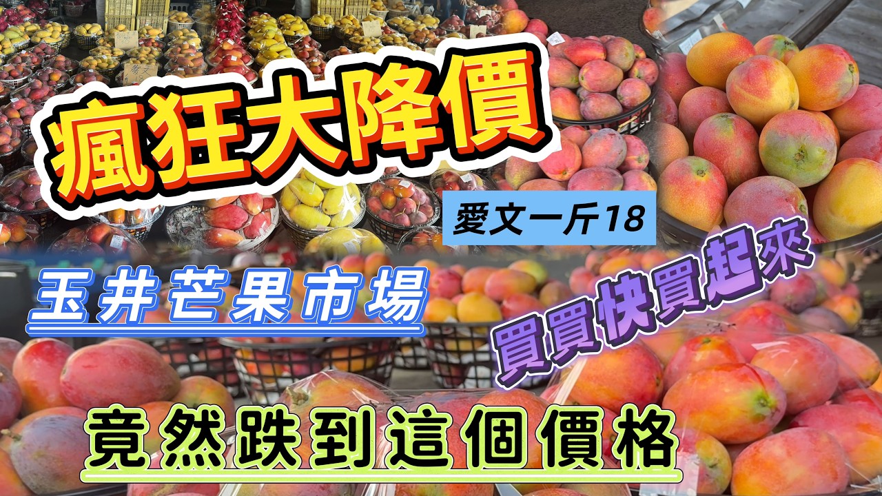 【＃玉井芒果市場】大崩盤 驚天價一斤只要18元！直擊現場滿山滿谷芒果.＃瘋狂爆買 瘋搬回家「實現芒果自由」就是現在～