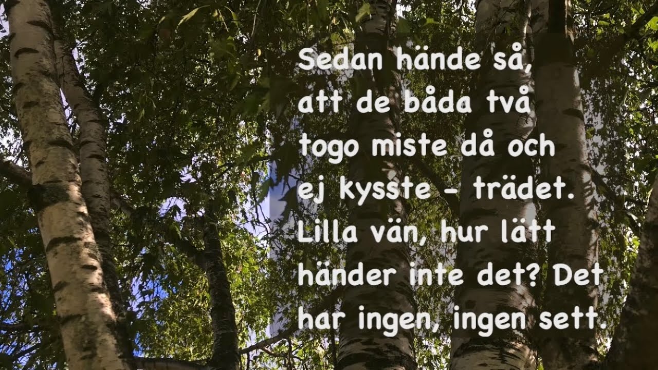 Björkens visa (med text) | Äldre visa med text av Zacharias Topelius