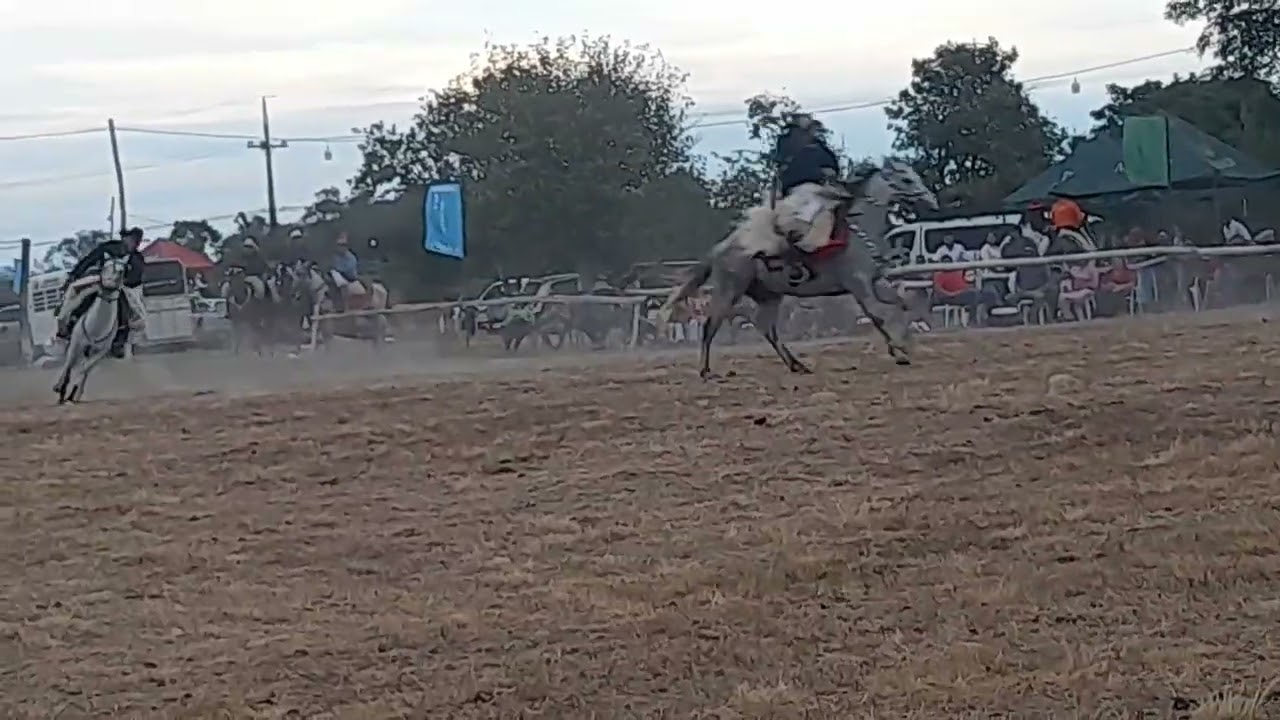 stud la patrona
