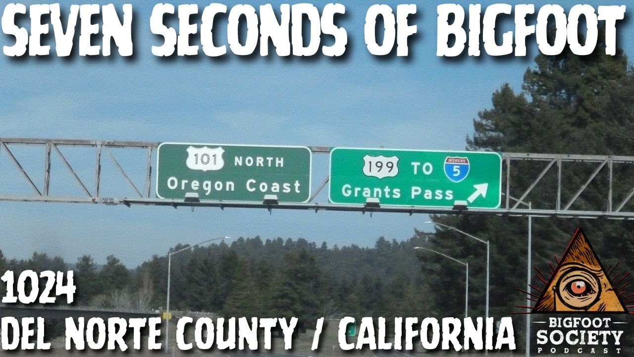 I Drove Past Something Massive on a Dark California Mountain Road | Bigfoot Society 1024
