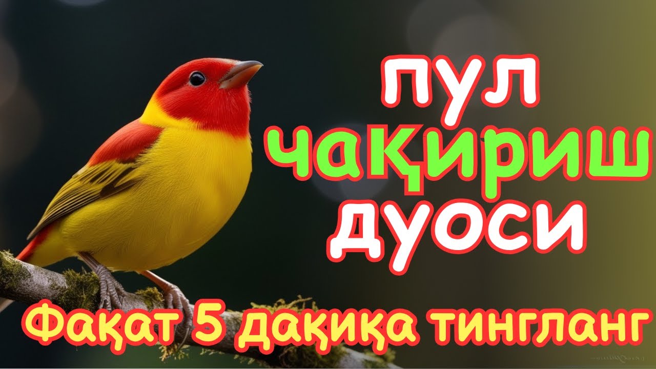 🔴 Иш йулларингз очилади, кутмаган жойингиздан бойлик кела бошлайди - дуолар