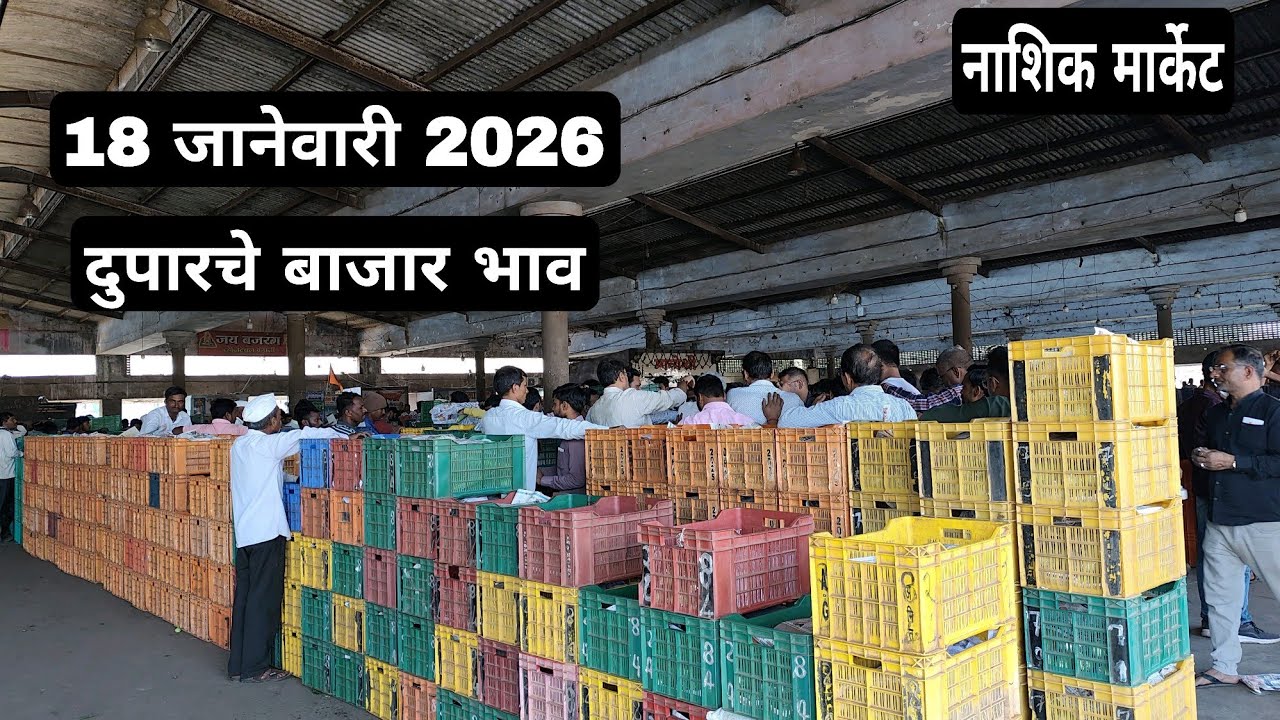 18 जानेवारी 2026| दुपारचे बाजार भाव नाशिक मार्केट | Vegetables market nashik rate today 