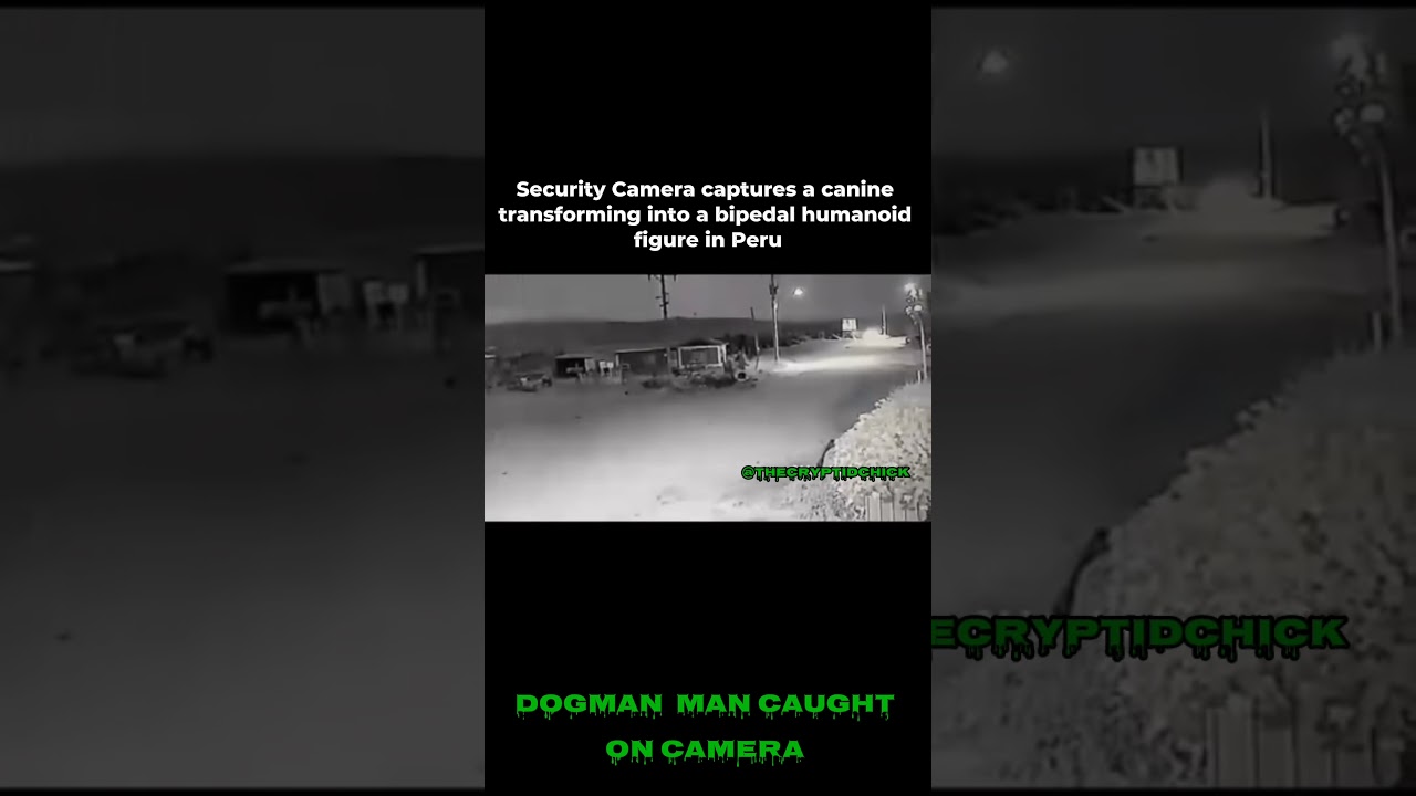 Dog caught transforming into humanoid figure in Peru! #cryptids #dogman #creature #shapeshifter