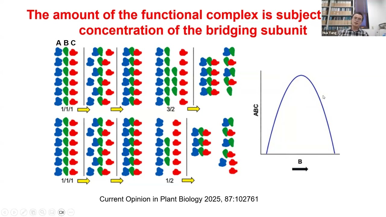 Hua Yang: Global modulation of gene expression in aneuploid combinations of maize