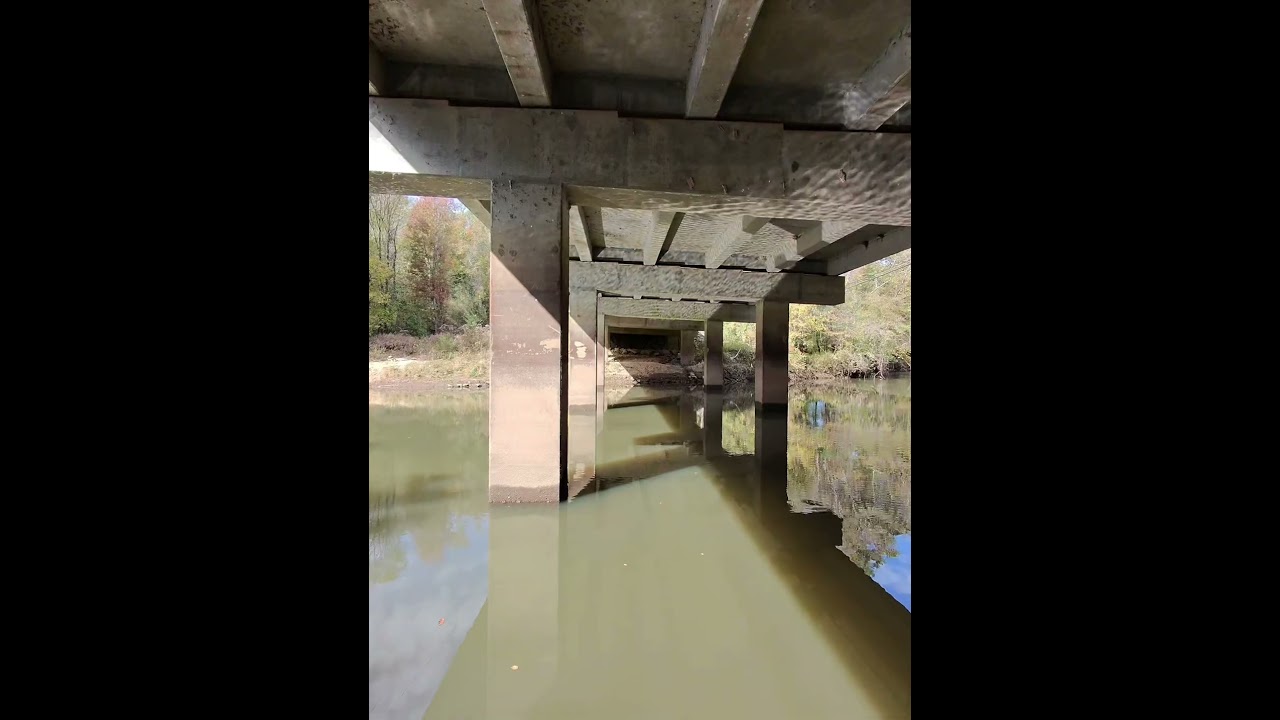 Creek bass 